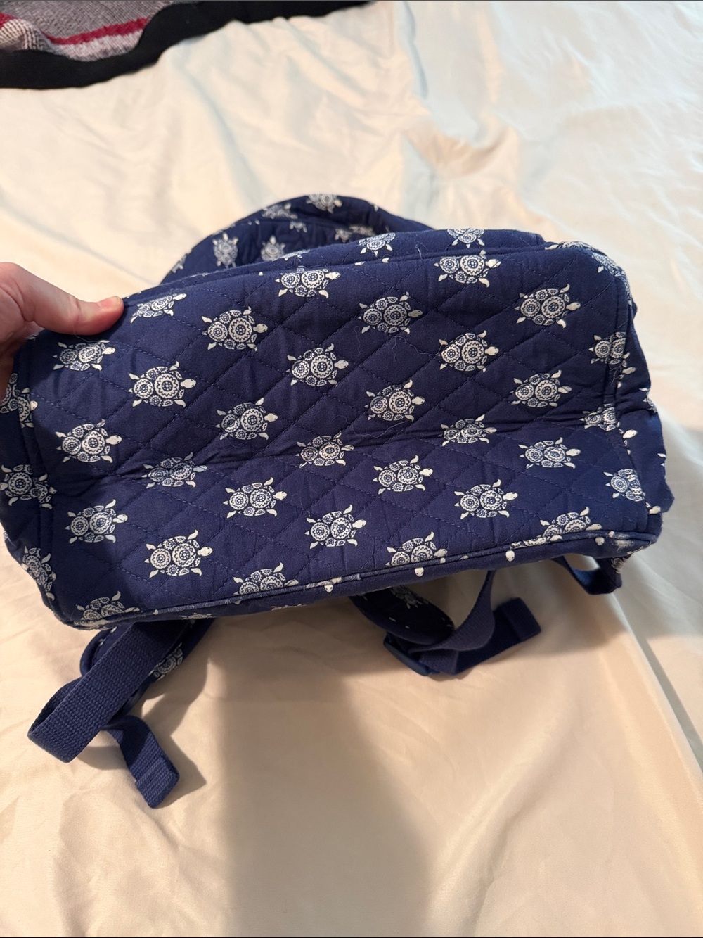 Backpack - Picture 6 of 7